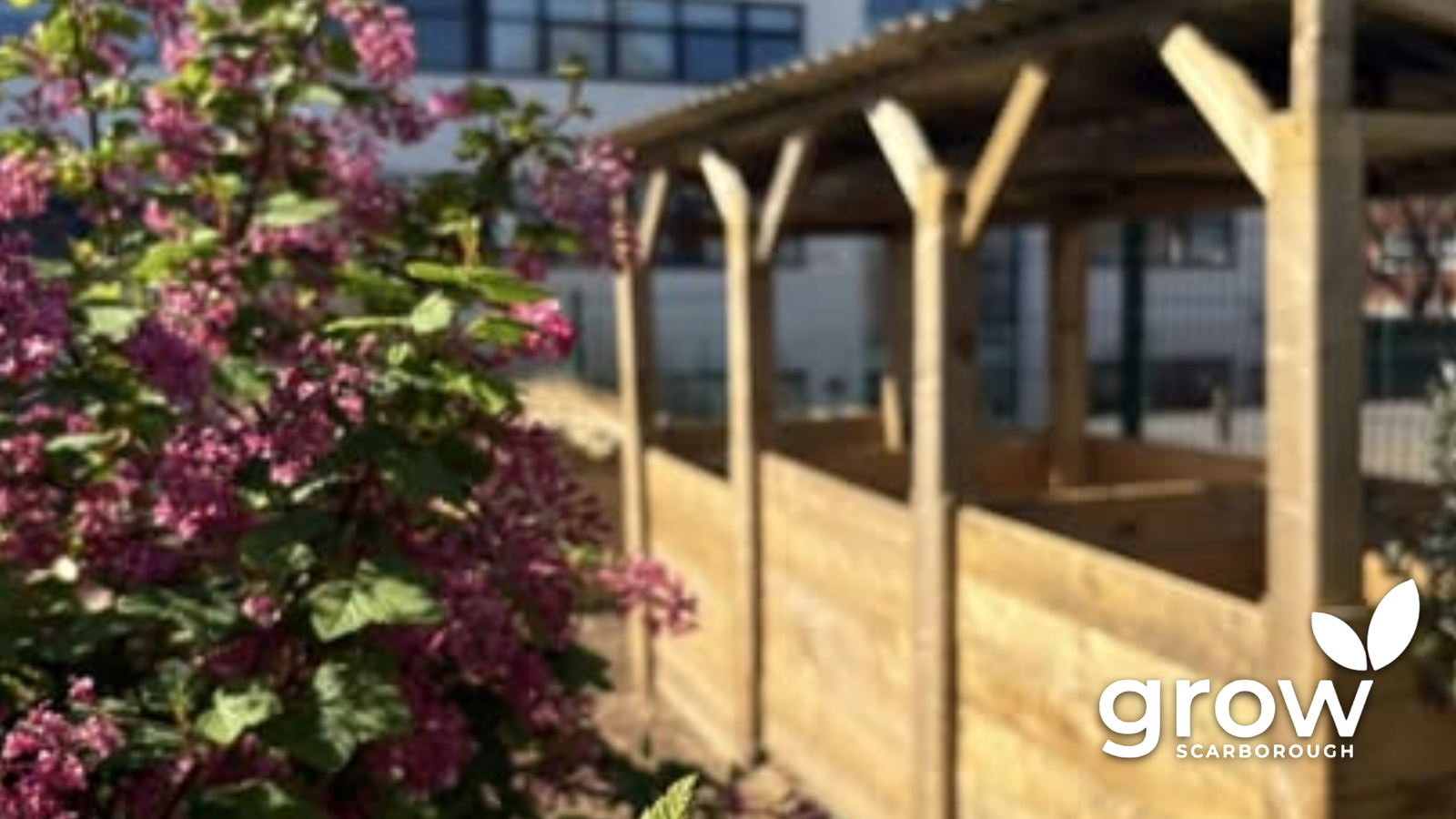 Street Community Garden